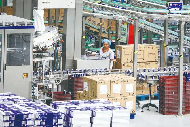 奮進(jìn)強(qiáng)國(guó)路 闊步新征程丨射陽(yáng)：揚(yáng)帆向海天地寬(圖5)