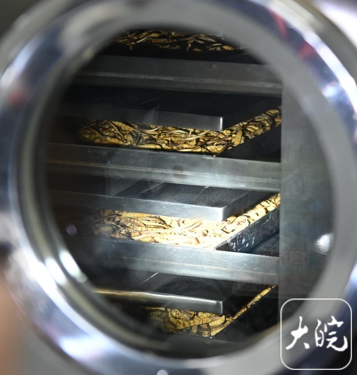 長(zhǎng)三角主流媒體宜昌調(diào)研行宜昌土特產(chǎn)的“含金量”越來越高(圖1)