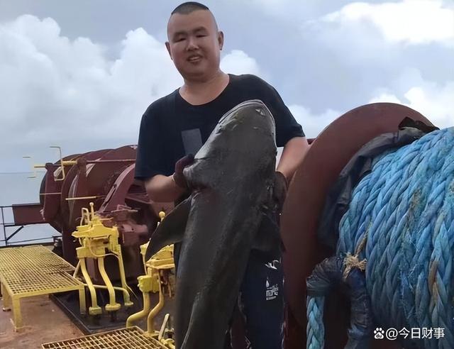 Kaiyun：為什么船員工資給得高卻沒人愿意干呢？網(wǎng)友：男女關(guān)系貓膩太多(圖5)