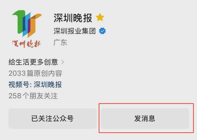 Kaiyun：100余頭！深圳一海域驚現(xiàn)海豚群(圖5)