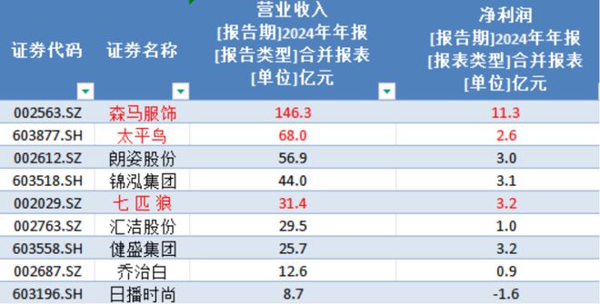 點燃年報行情之服裝專題：2024轉危為機關稅大戰(zhàn)下內需再加碼(圖3)