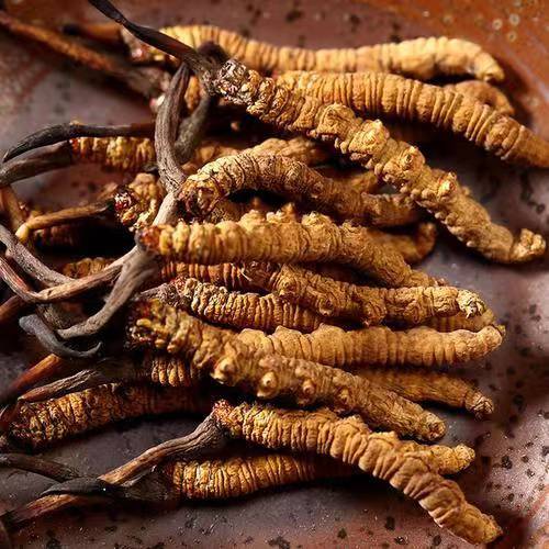 鹽津烏骨雞獲地標認證！驕傲的“家鄉(xiāng)味”走向全國餐桌(圖1)