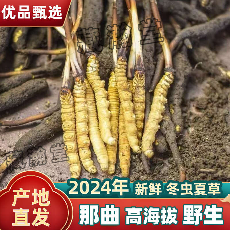 質(zhì)量提升行動助推湖北松滋雞產(chǎn)業(yè)高質(zhì)量發(fā)展(圖1)