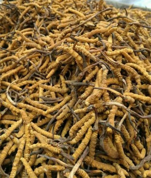 成了！阜師大傳來好消息！(圖1)