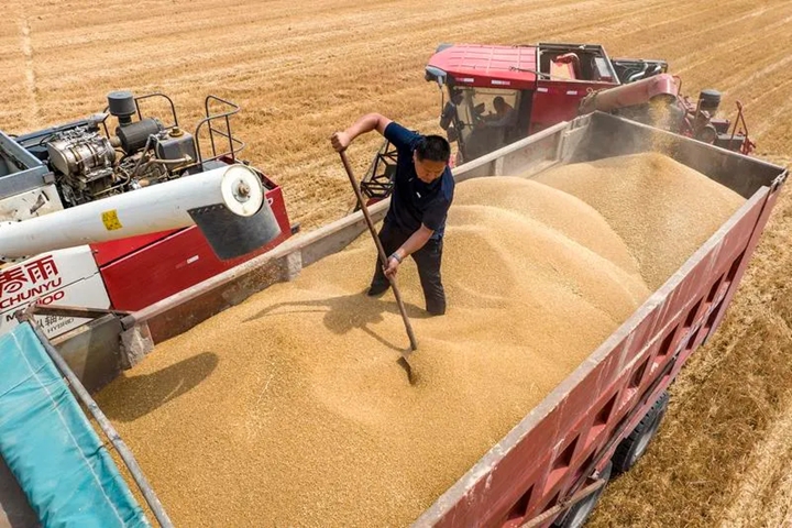 這130畝土地緣何備受關(guān)注？來看山西版口糧“噸糧田”的探索實踐(圖1)