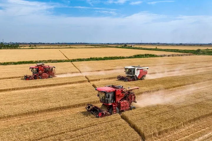 這130畝土地緣何備受關(guān)注？來看山西版口糧“噸糧田”的探索實踐(圖2)