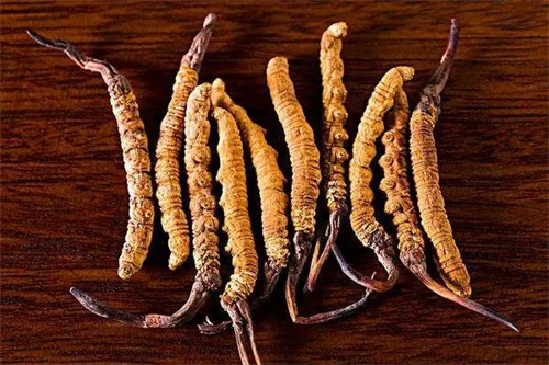 江西安遠(yuǎn)：林下生“金” 鏈上增“值”(圖1)