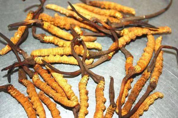 Kaiyun：云南省強(qiáng)農(nóng)惠農(nóng)富農(nóng)政策明白本共40項(xiàng)！(圖1)