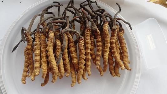 《科技日?qǐng)?bào)》報(bào)道我校通過有組織科研推動(dòng)科技創(chuàng)新與產(chǎn)業(yè)創(chuàng)新深度融合(圖1)