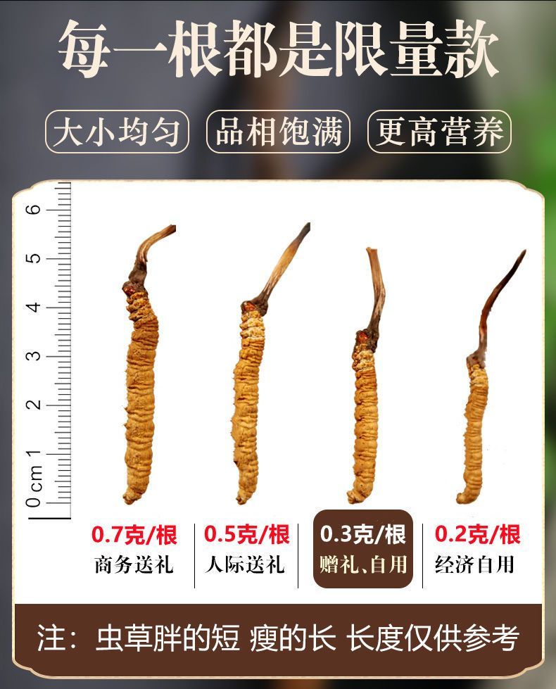 林間“藏寶”！19億產(chǎn)值解鎖鄉(xiāng)村振興密碼(圖1)